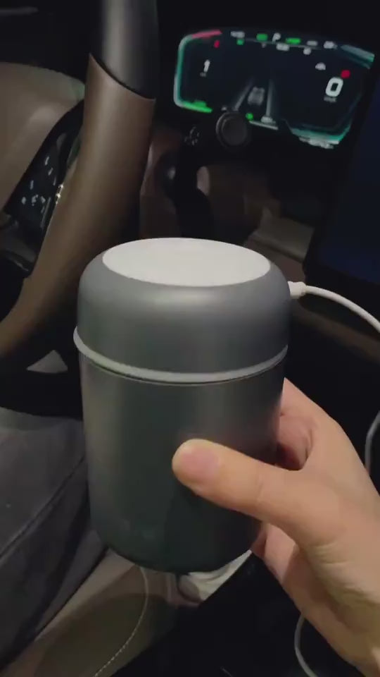 1.mp4